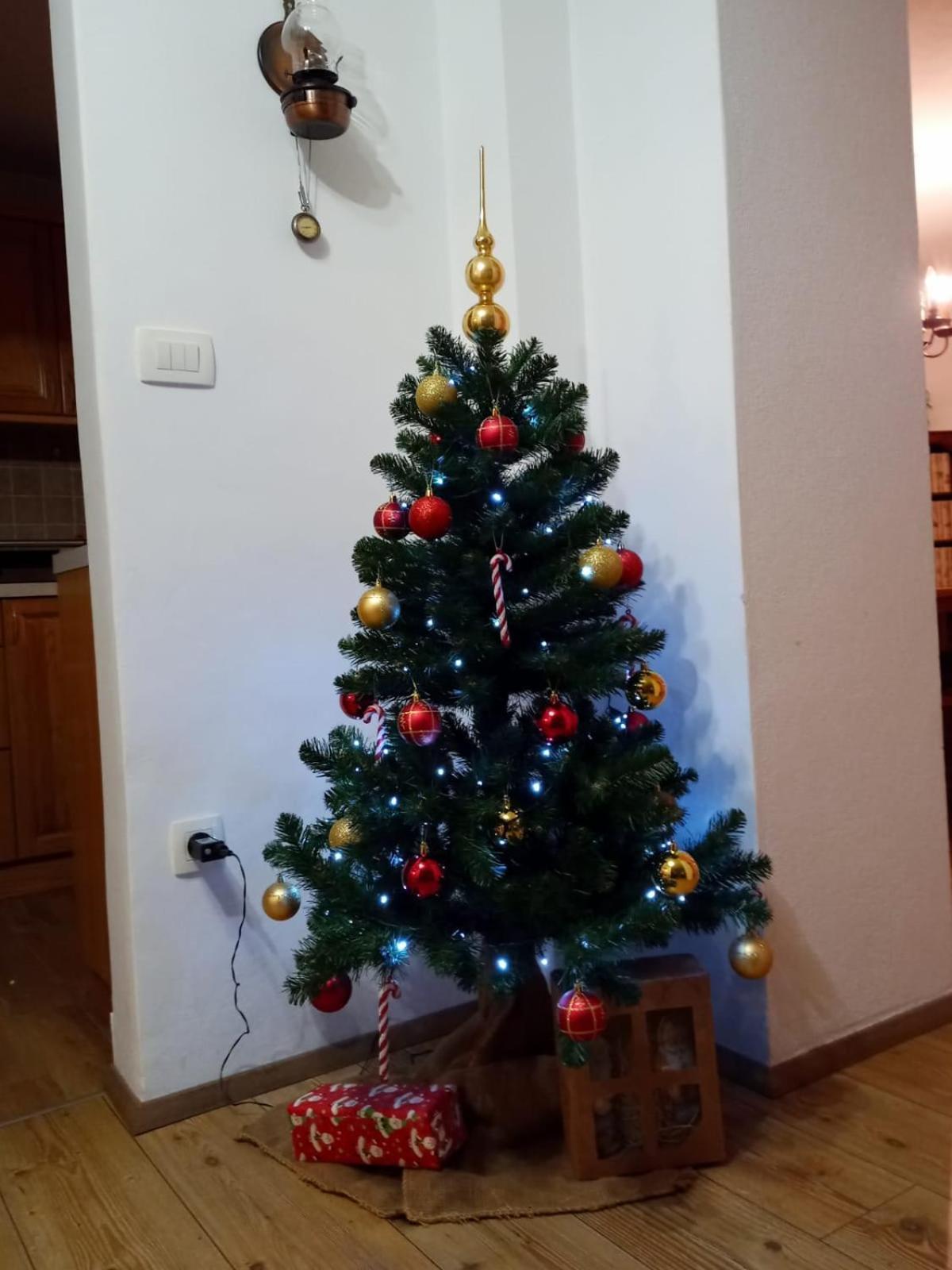 Apartma Lana Мойстрана Екстериор снимка